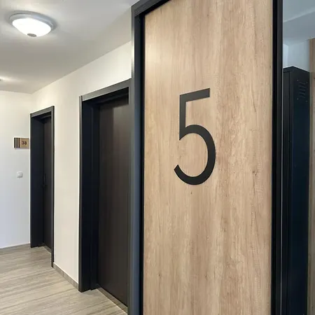 The Wolf Apartament Indija